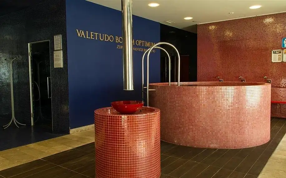 Wellness pobyt s dopravou a polopenzí v ceně v hotelu Rimski Dvor, Terme Rimske Toplice