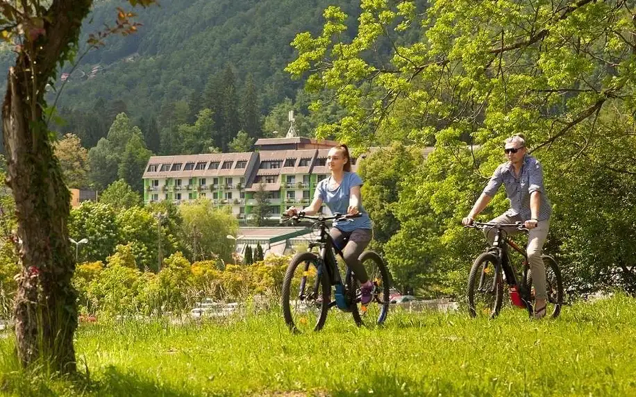 Hotel Vesna, Terme Topolšica