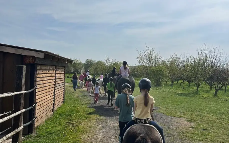 Vyjížďka na koních pro děti i dospělé