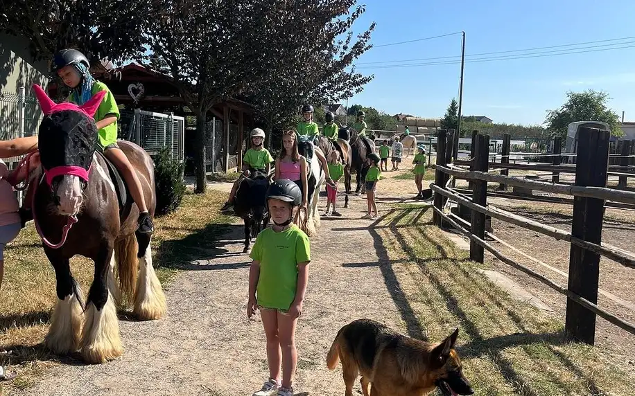Vyjížďka na koních pro děti i dospělé