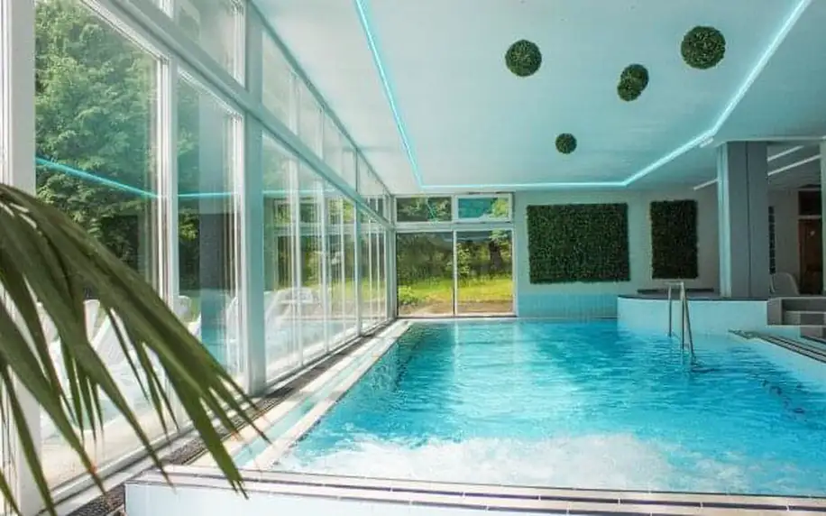 Šoproň: Hotel Szieszta s polopenzí, neomezeným wellness centrem (bazén, sauny) a vstupem do bazénu Lövér