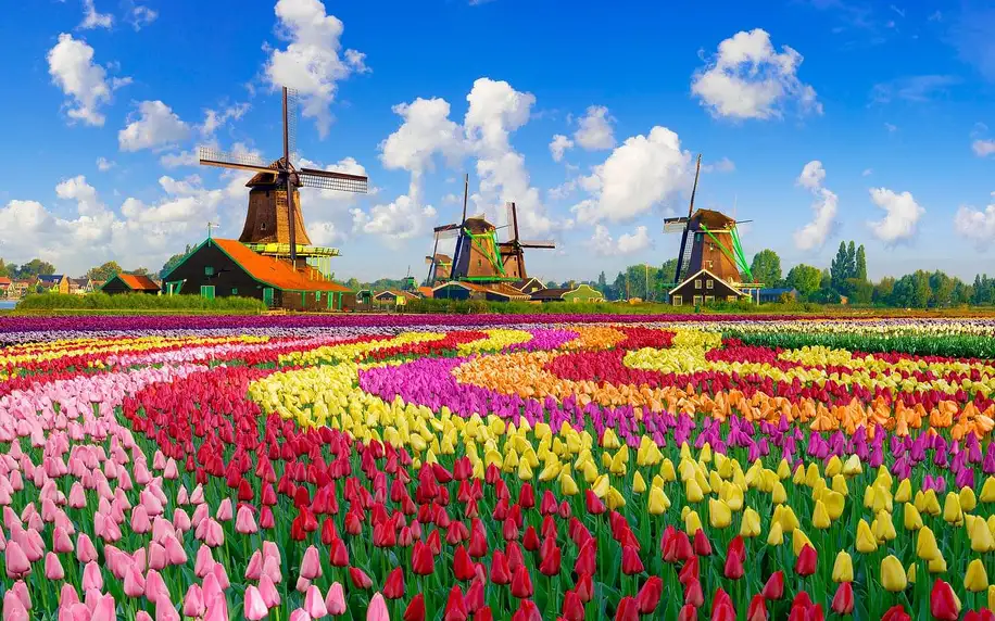 Tulipánová plavba Nizozemskem