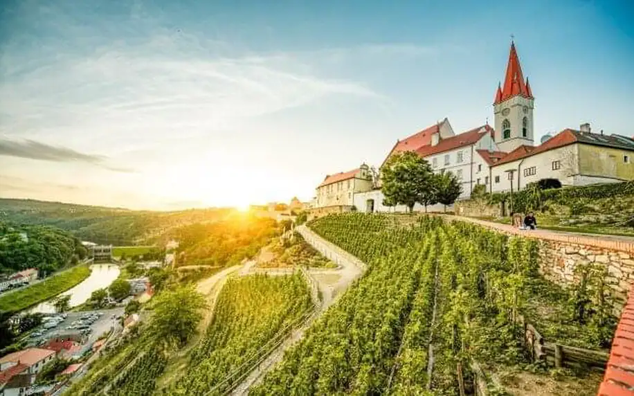 Jižní Morava v Penzionu a vinařství Dobrovolný se snídaní nebo polopenzí, láhví vína a možností degustace