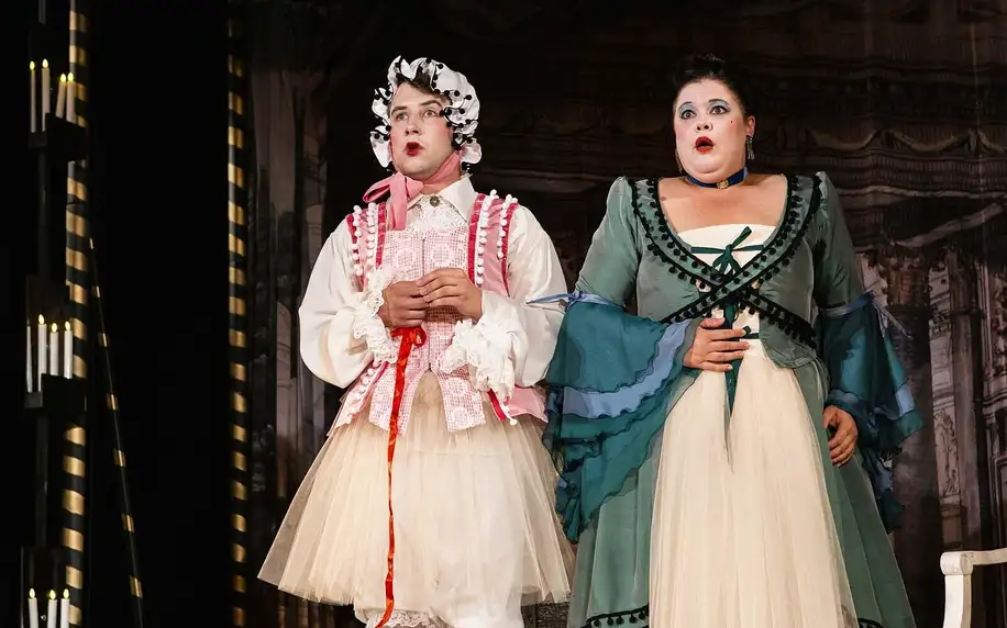 Vstupenka na představení Figaro v Žižkovském divadle
