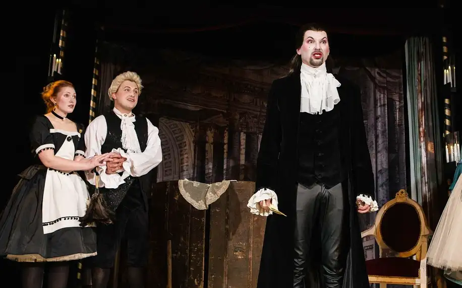 Vstupenka na představení Figaro v Žižkovském divadle