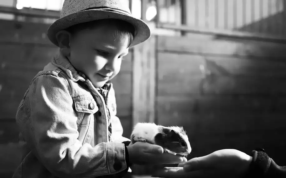 Profesionální focení dětí se zvířátky: 5-10 snímků