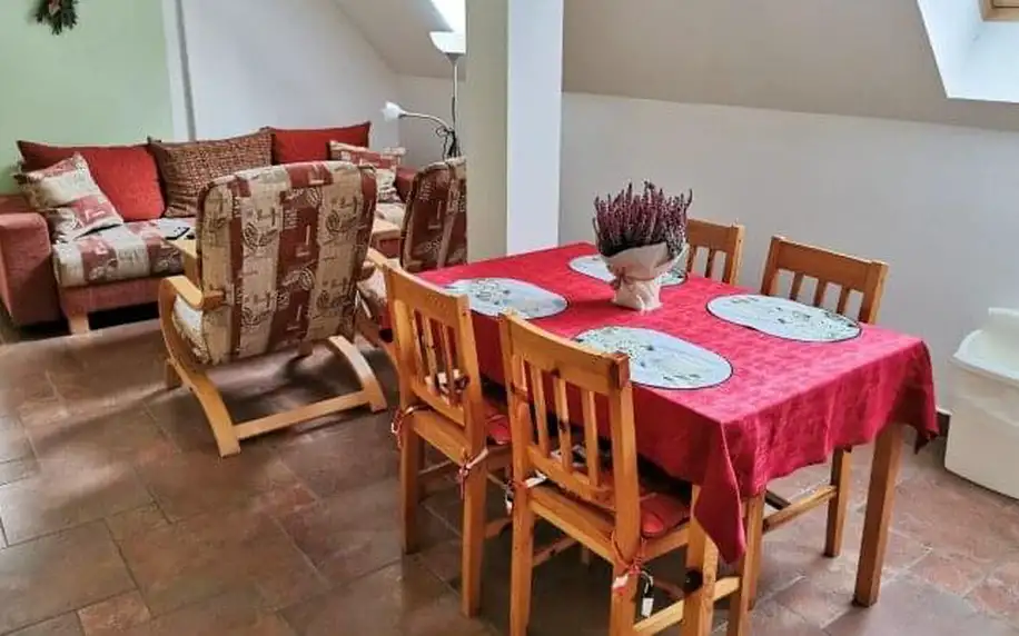 Příroda Jeseníků v Penzionu Vincent & Mia v apartmánu s kuchyňkou + poukaz do wellness, hřiště a ohniště