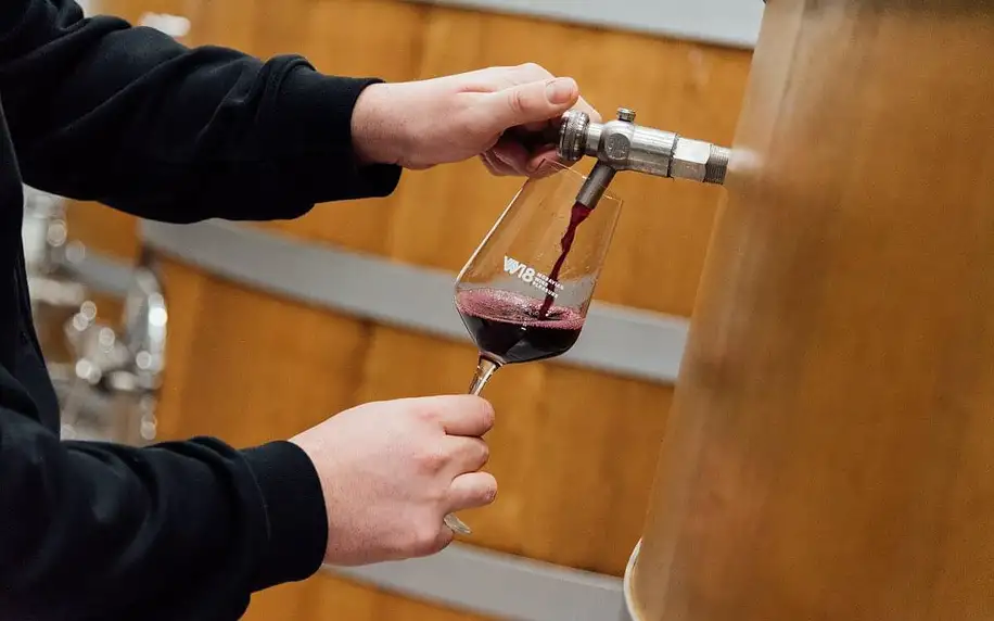 Pobyt ve vinařství i degustace vín až pro 8 osob