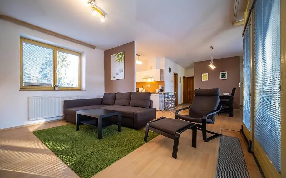 Lipno nad Vltavou, Jihočeský kraj: Apartment Riviera 500-15 Lipno Home