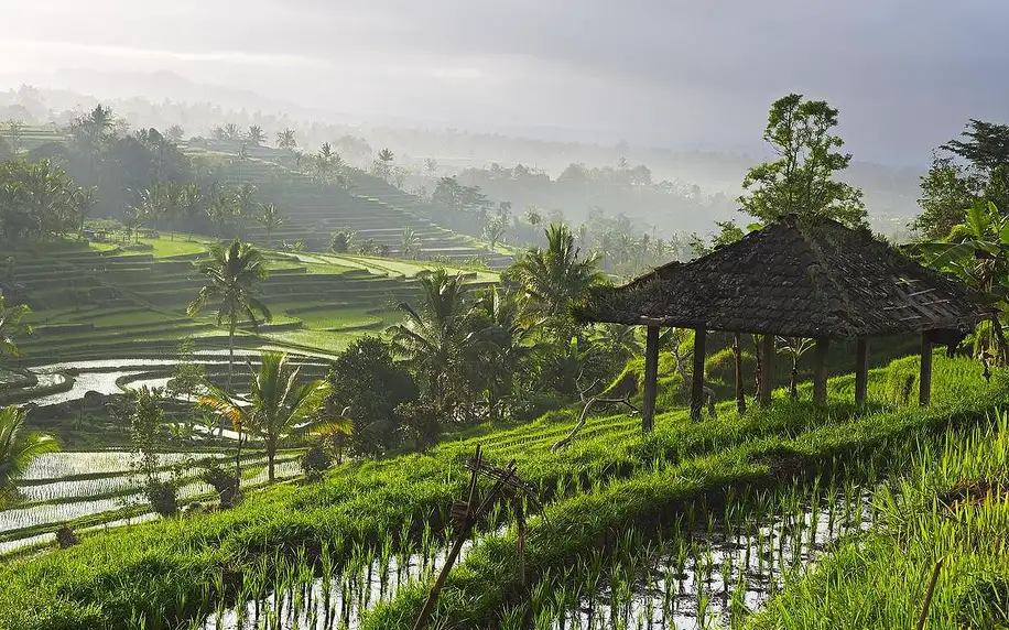 Indonésie - Bali letecky na 9-15 dnů, snídaně v ceně