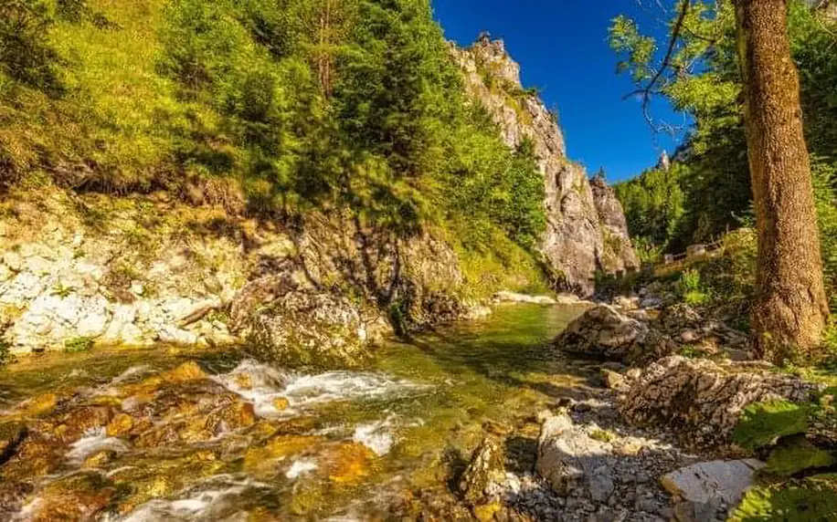 Národní park Malá Fatra: Terchová v Horské chatě pod Sokolím s polopenzí + sleva na wellness, parkování zdarma