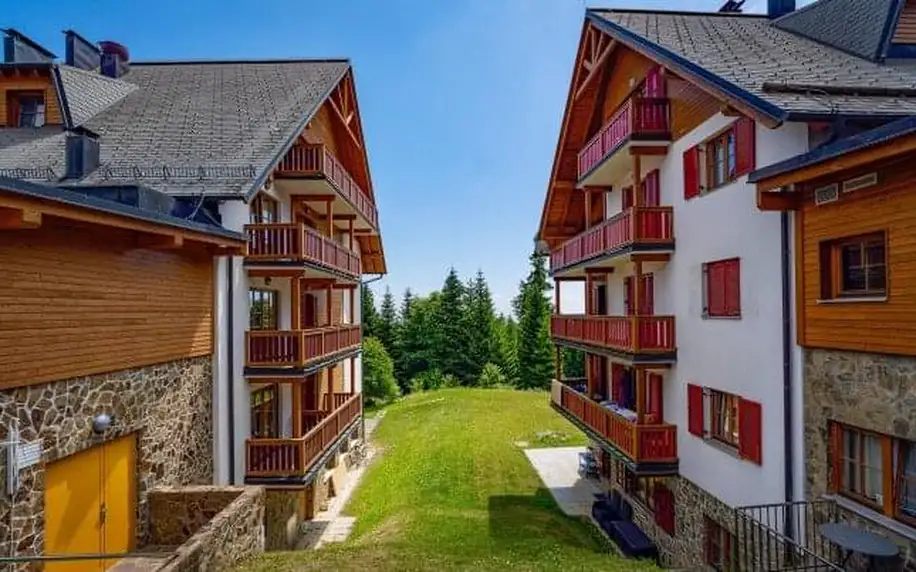Slovinsko: Pobyt nedaleko Mariboru ve Forest Hotelu Videc *** s polopenzí, welcome drinkem a bazénem neomezeně