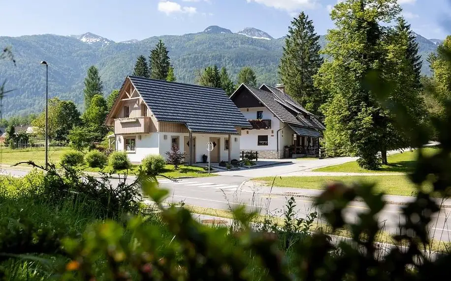 Slovinsko - Bohinj: Apartments Alp