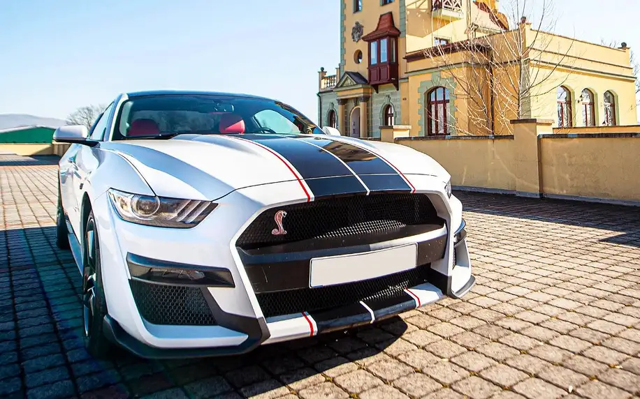 Zapůjčení Fordu Mustang na 24 hodin i celý víkend