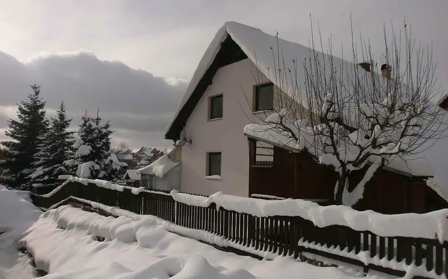 Kraj Vysočina: Holiday home in Skrdlovice 1383