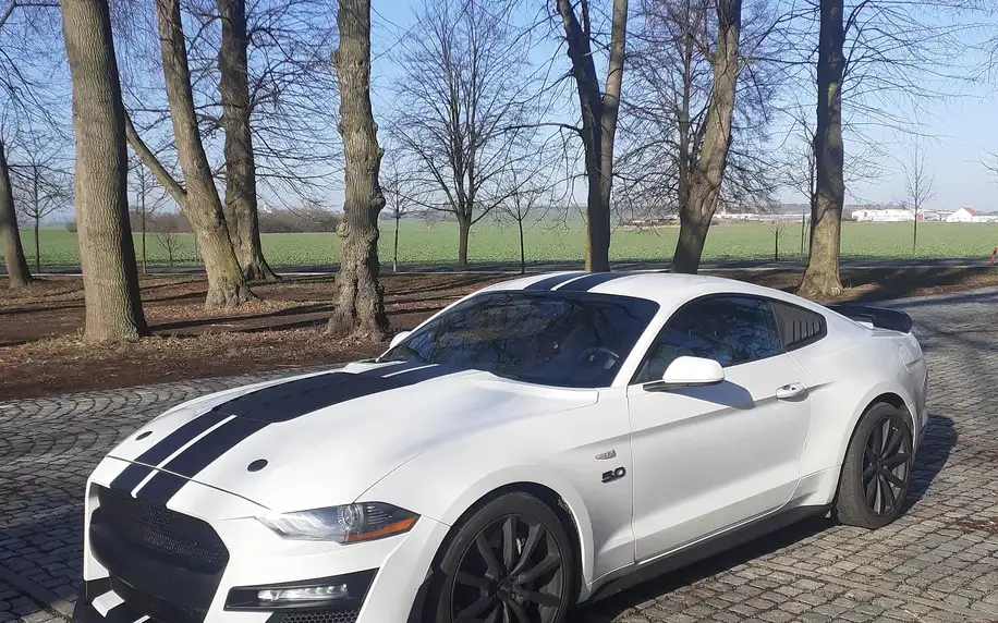 Ford Mustang 5.0 V8: spolujízda, řízení i pronájem