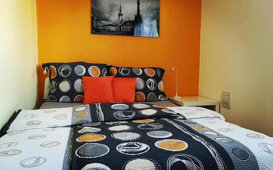 Olomoucký kraj: Apartmán 4U Olomouc