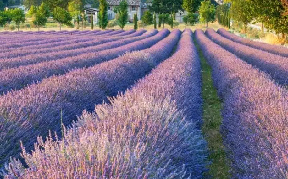 Kouzelná Provence, Francouzská riviéra