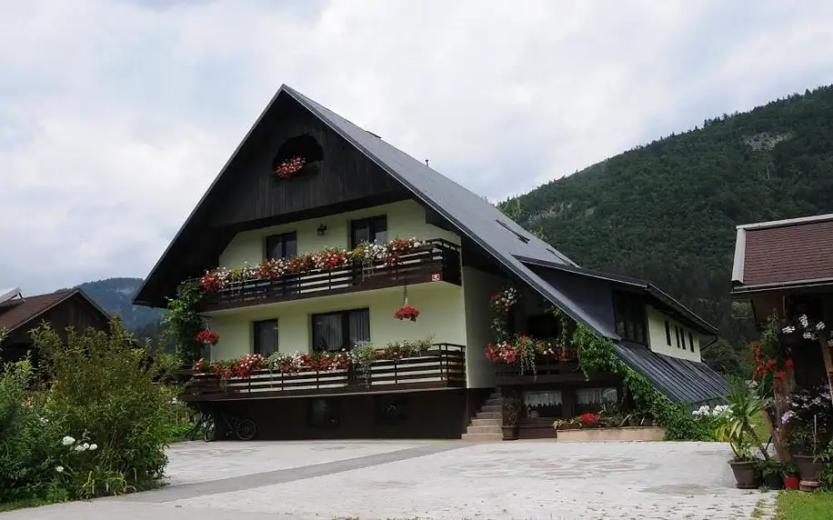 Slovinsko - Bohinj: Apartments Zorč