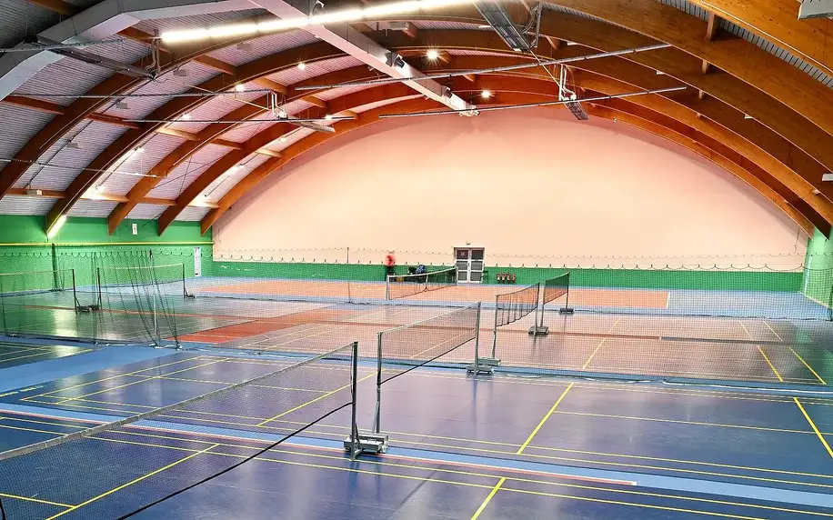 Pronájem sportovišť: krytý tenis, badminton i ping-pong